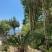 Apartments Milicevic, , private accommodation in city Herceg Novi, Montenegro - ulaz
